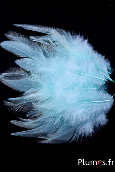 Coq - 8-12 cm - vert d´eau
